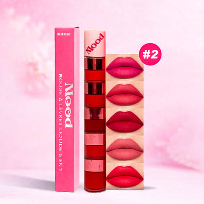 Rouge à Lèvres 5-en-1: Couleur et Soin