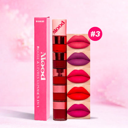 Rouge à Lèvres 5-en-1: Couleur et Soin